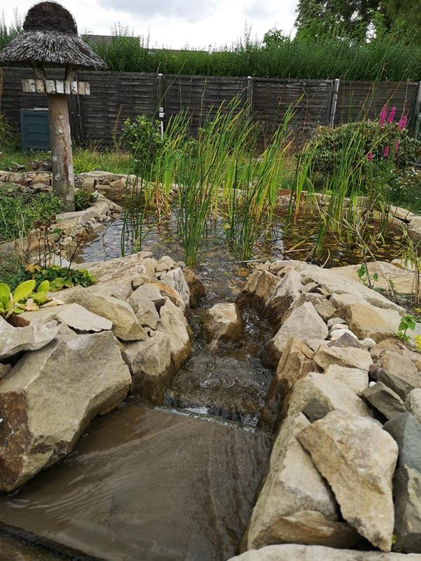 Gartenteiche - ÖKO-Konzept